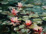 pink waterlilies